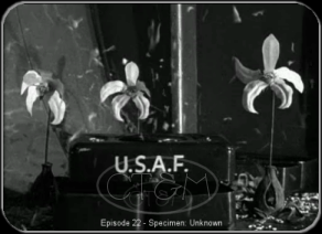 Episode 22